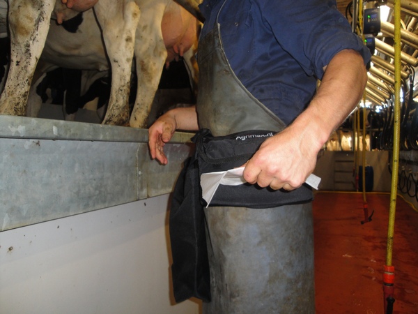 Dairy Towel WET – Bild 2